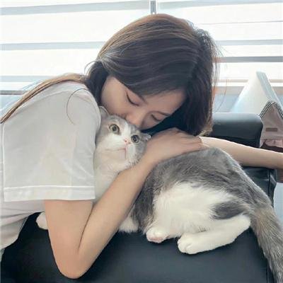 画鸡